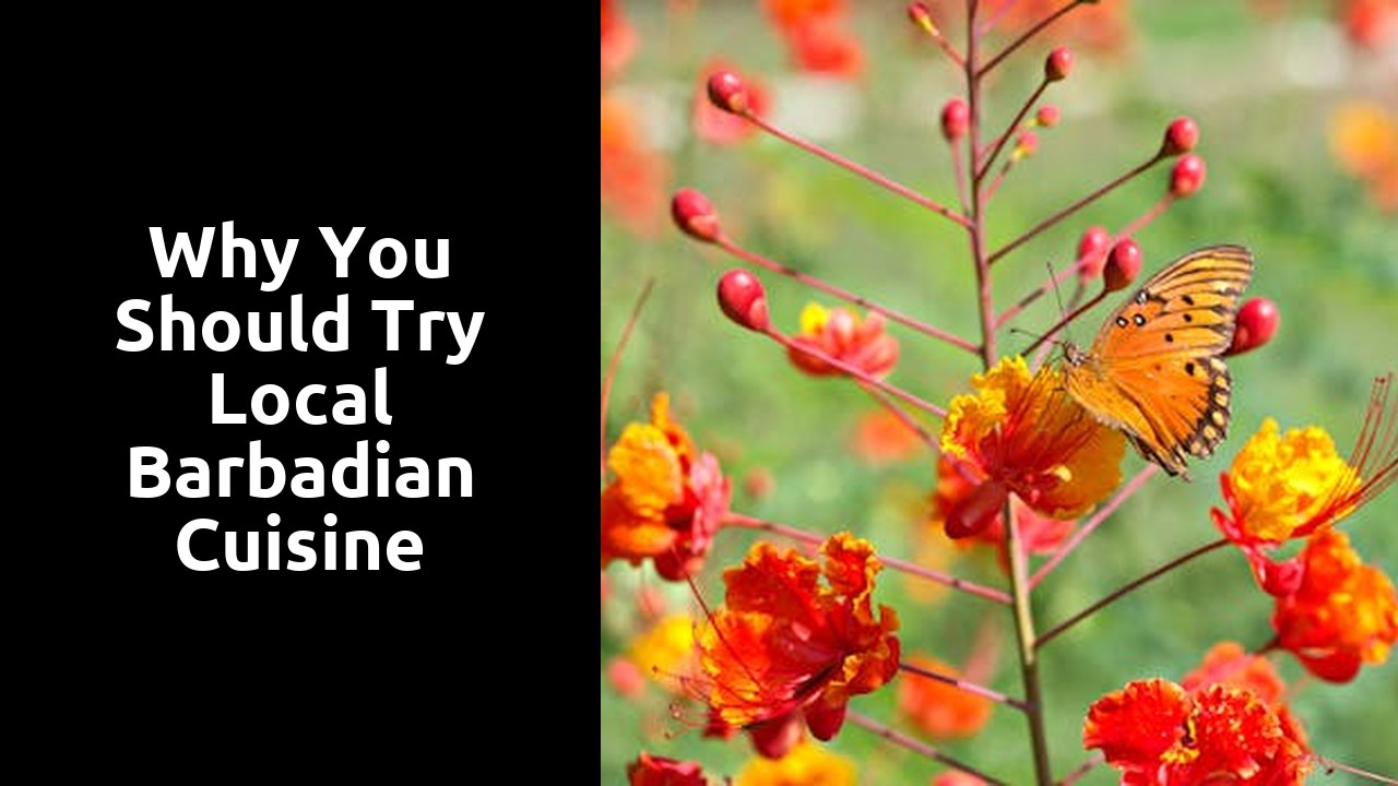 Why You Should Try Local Barbadian Cuisine