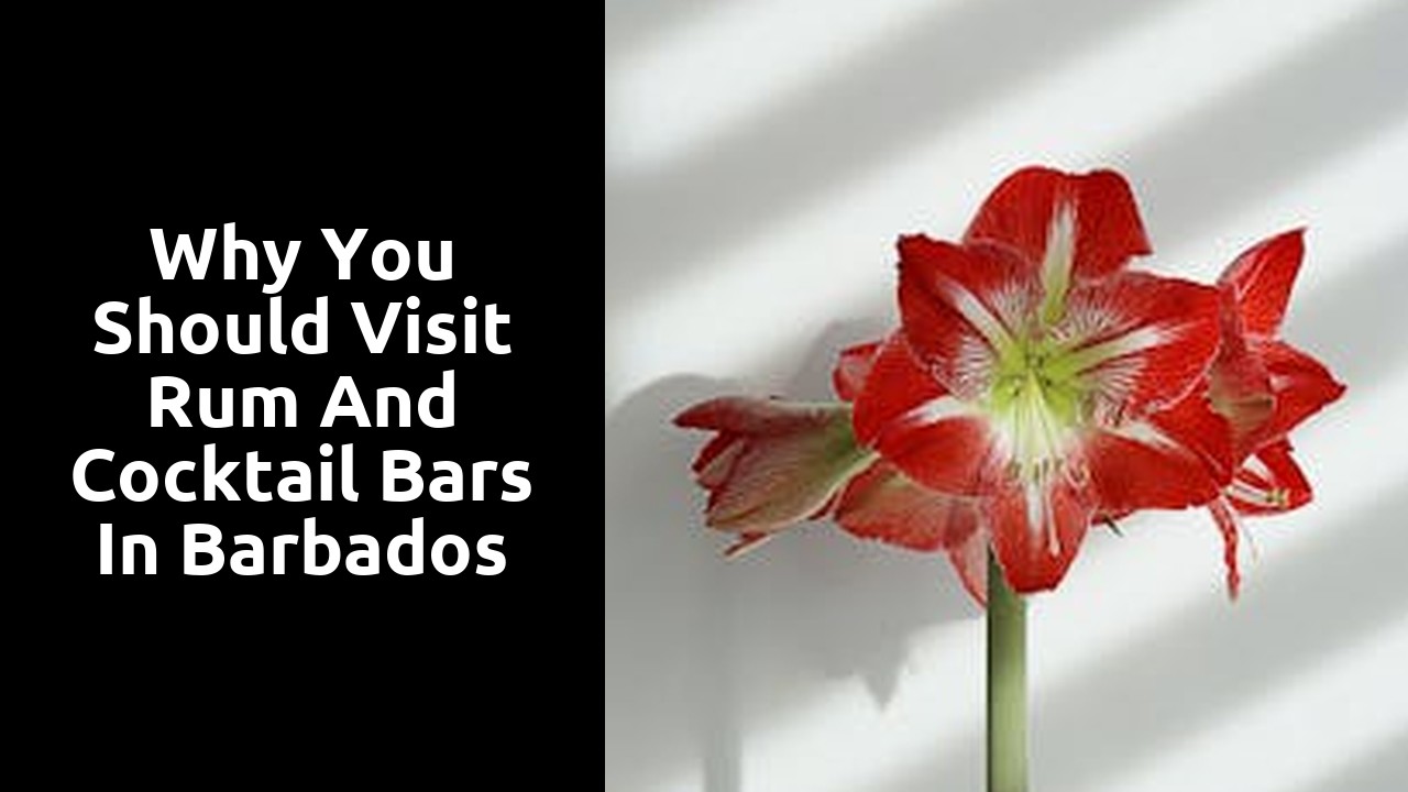 Why you should visit rum and cocktail bars in Barbados